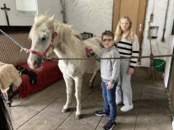 25-10-06 14-13-11 7382